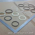 LC01V00001R300 Oil Seal