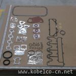 VI5878151960 Overhaul Gasket Kit