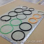 YF01V00001R300 Seal/Filter