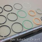YN01V00105R900 Oil Seal