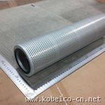 YR50V00004P1P Hose