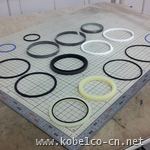YW01V00003R300 Oil Seal